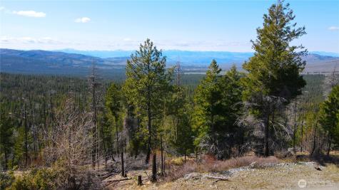 32 Twin Creeks Ranch Riverside WA 98849