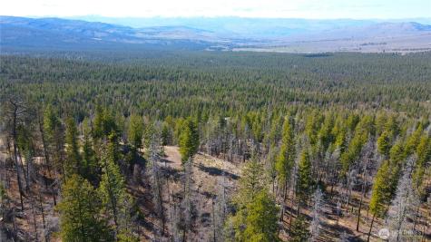 32 Twin Creeks Ranch Riverside WA 98849
