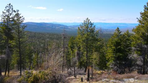 32 Twin Creeks Ranch Riverside WA 98849