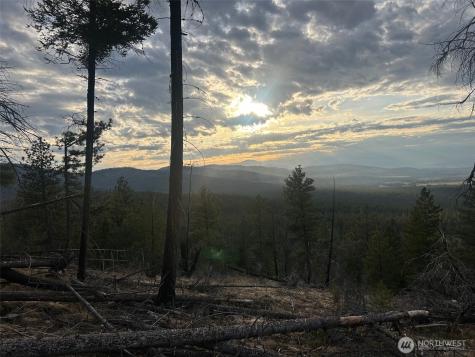 32 Twin Creeks Ranch Riverside WA 98849