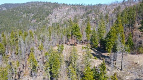 32 Twin Creeks Ranch Riverside WA 98849