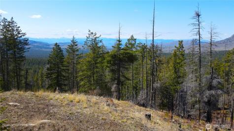 32 Twin Creeks Ranch Riverside WA 98849