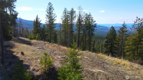 32 Twin Creeks Ranch Riverside WA 98849