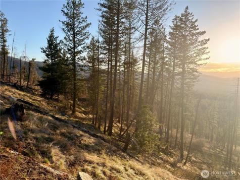 32 Twin Creeks Ranch Riverside WA 98849
