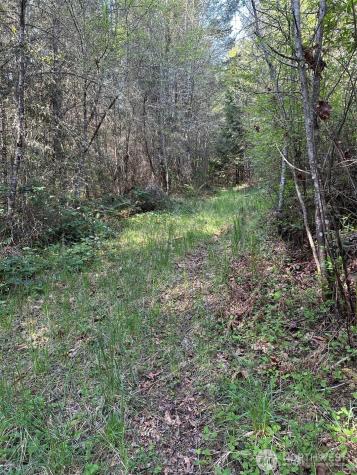 9999 Pristine Lane, Lot 1 Port Angeles WA 98362