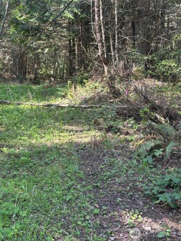 9999 Pristine Lane, Lot 1 Port Angeles WA 98362