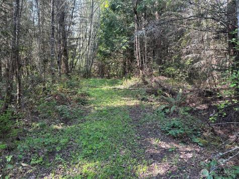 9999 Pristine Lane, Lot 1 Port Angeles WA 98362