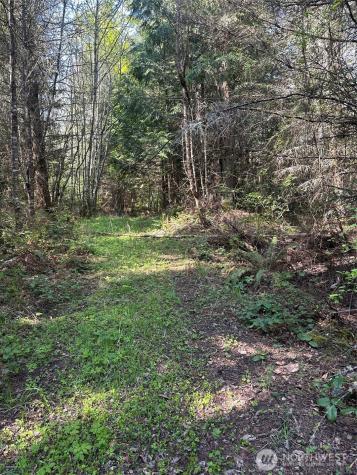 9999 Pristine Lane, Lot 1 Port Angeles WA 98362