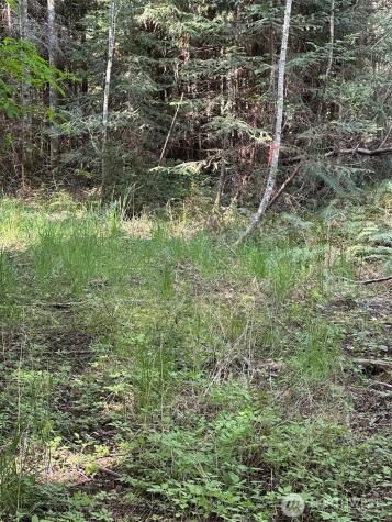 9999 Pristine Lane, Lot 1 Port Angeles WA 98362