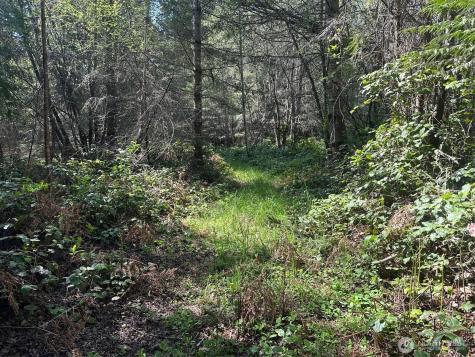 9999 Pristine Lane, Lot 1 Port Angeles WA 98362