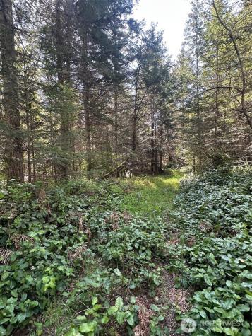 9999 Pristine Lane, Lot 1 Port Angeles WA 98362