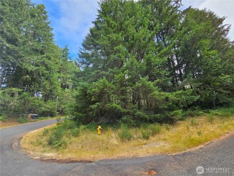 9325 123rd Avenue Anderson Island WA 98303