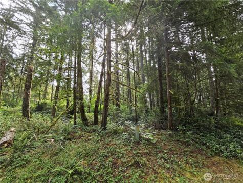 9325 123rd Avenue Anderson Island WA 98303