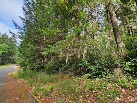 9325 123rd Avenue Anderson Island WA 98303