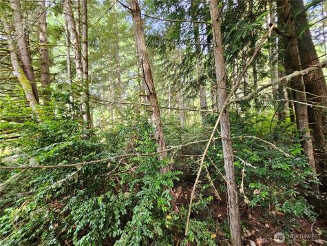 9325 123rd Avenue Anderson Island WA 98303