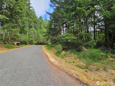 9325 123rd Avenue Anderson Island WA 98303