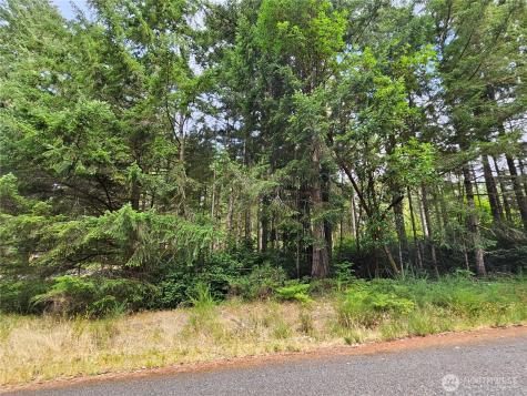 9325 123rd Avenue Anderson Island WA 98303