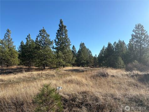 35410 Prairie Lane N Creston WA 99117