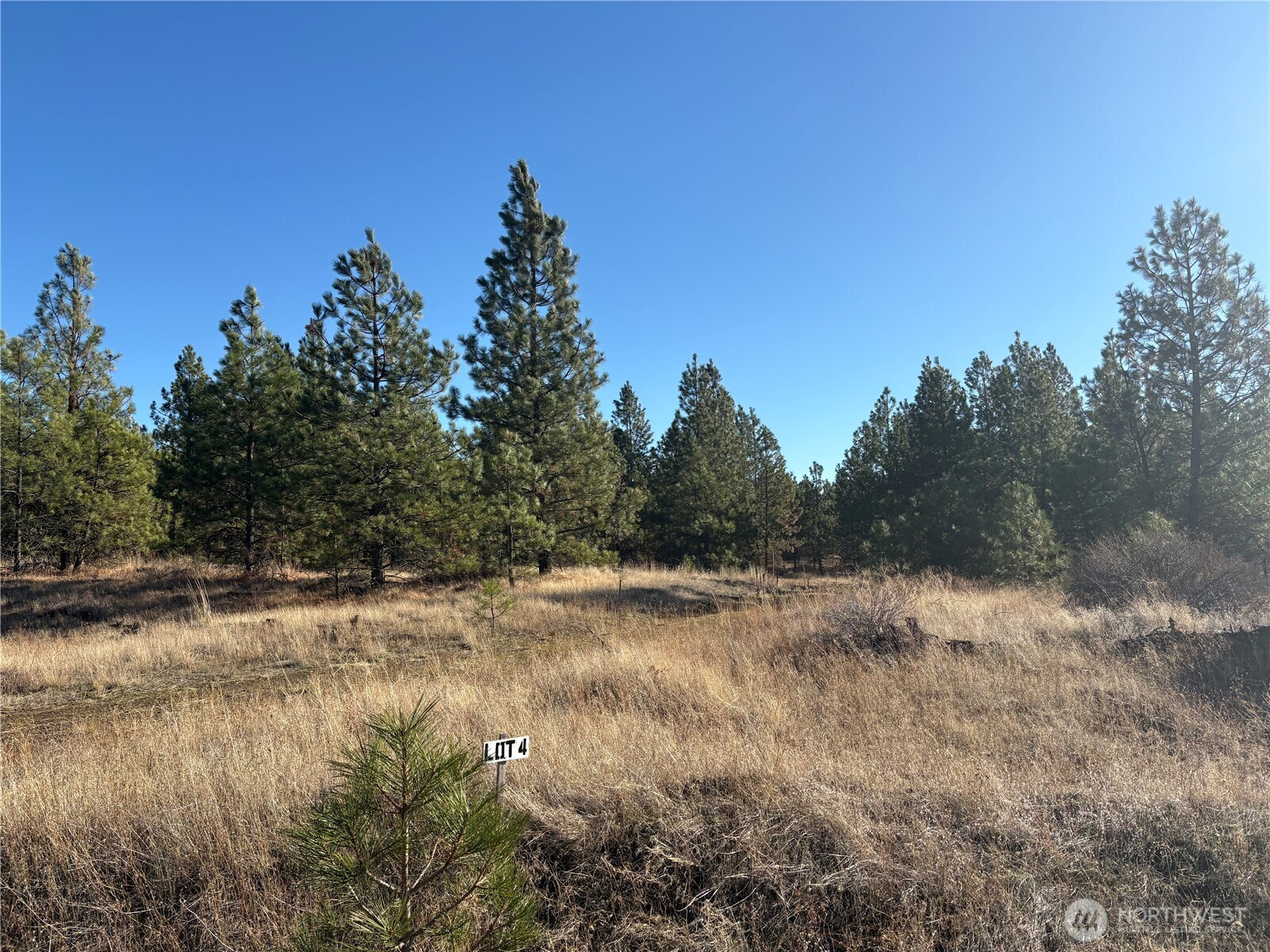 35410 Prairie Lane N Creston WA 99117