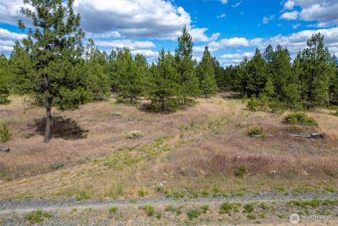 35410 Prairie Lane N Creston WA 99117
