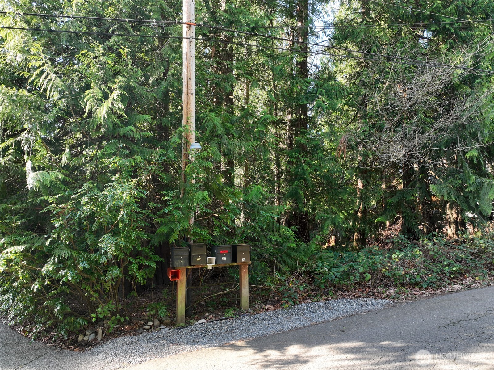 0 211th Place SE Sammamish WA 98074