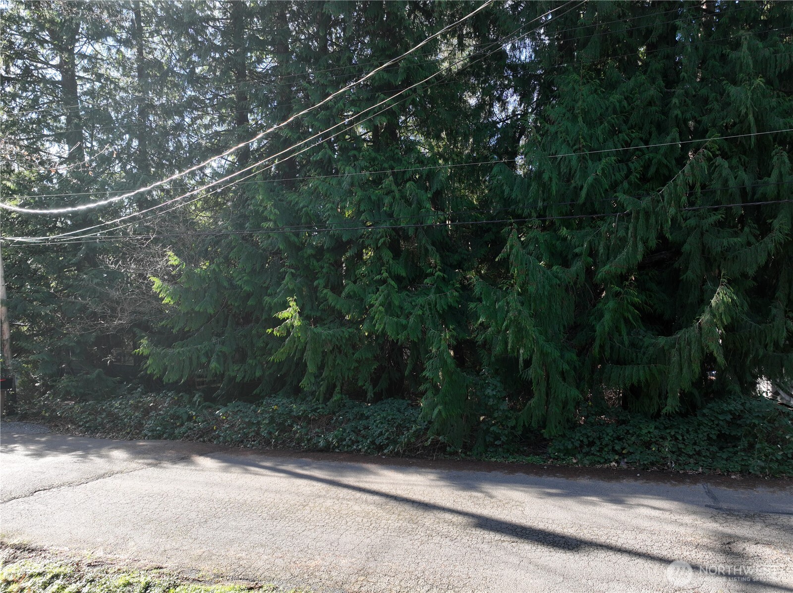 0 211th Place SE Sammamish WA 98074