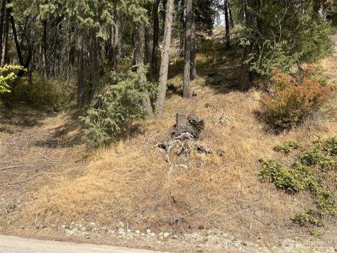 76 Hinthorne Lane Leavenworth WA 98826