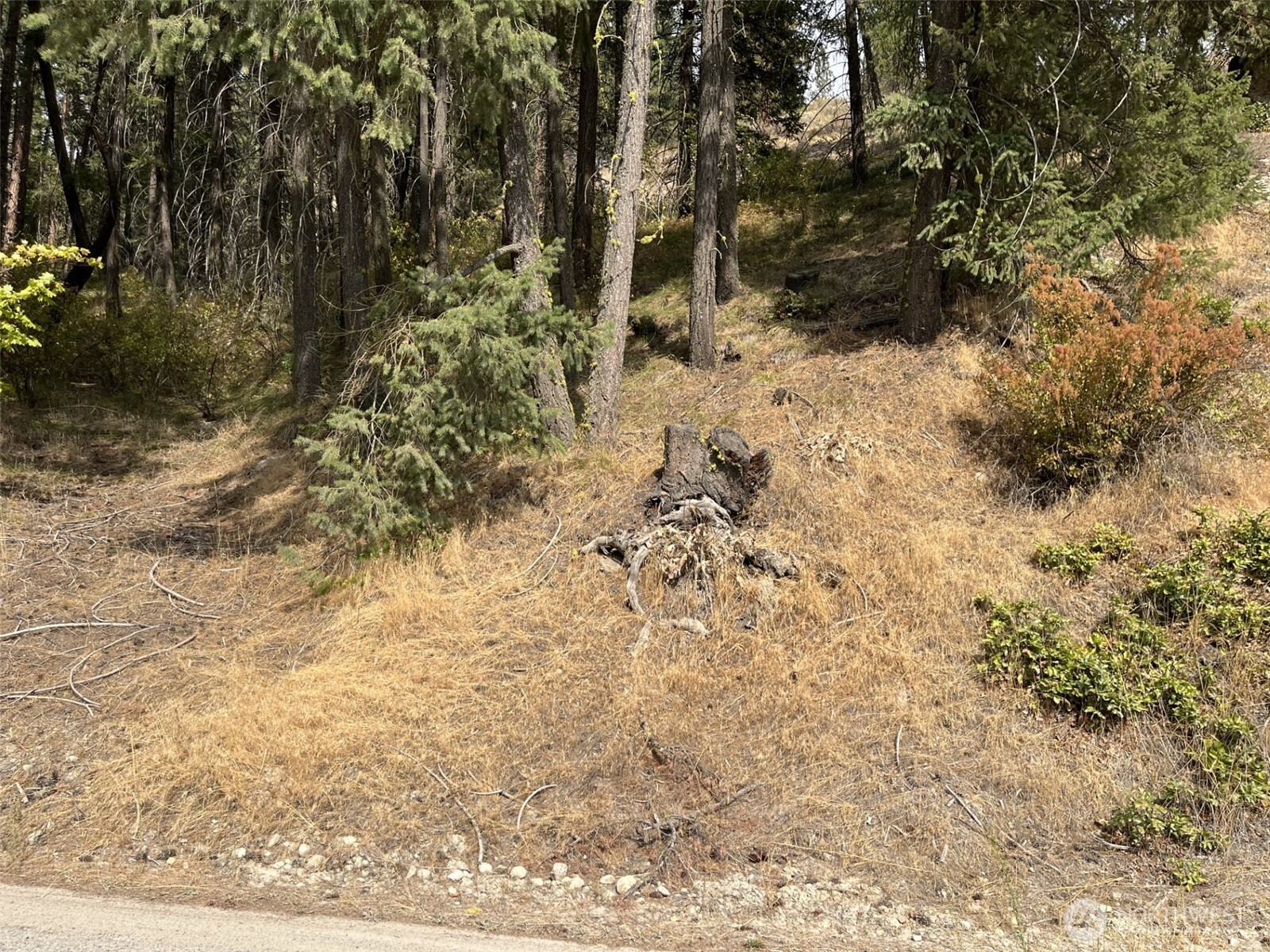 76 Hinthorne Lane Leavenworth WA 98826