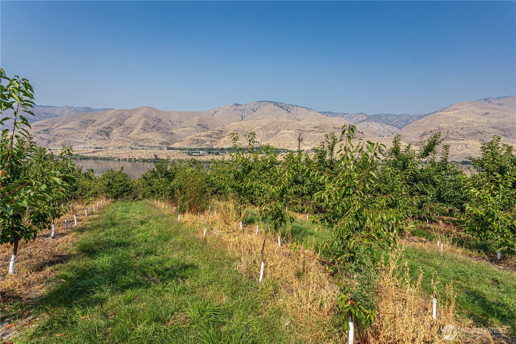 13512 Us Highway 2 East Wenatchee WA 98802