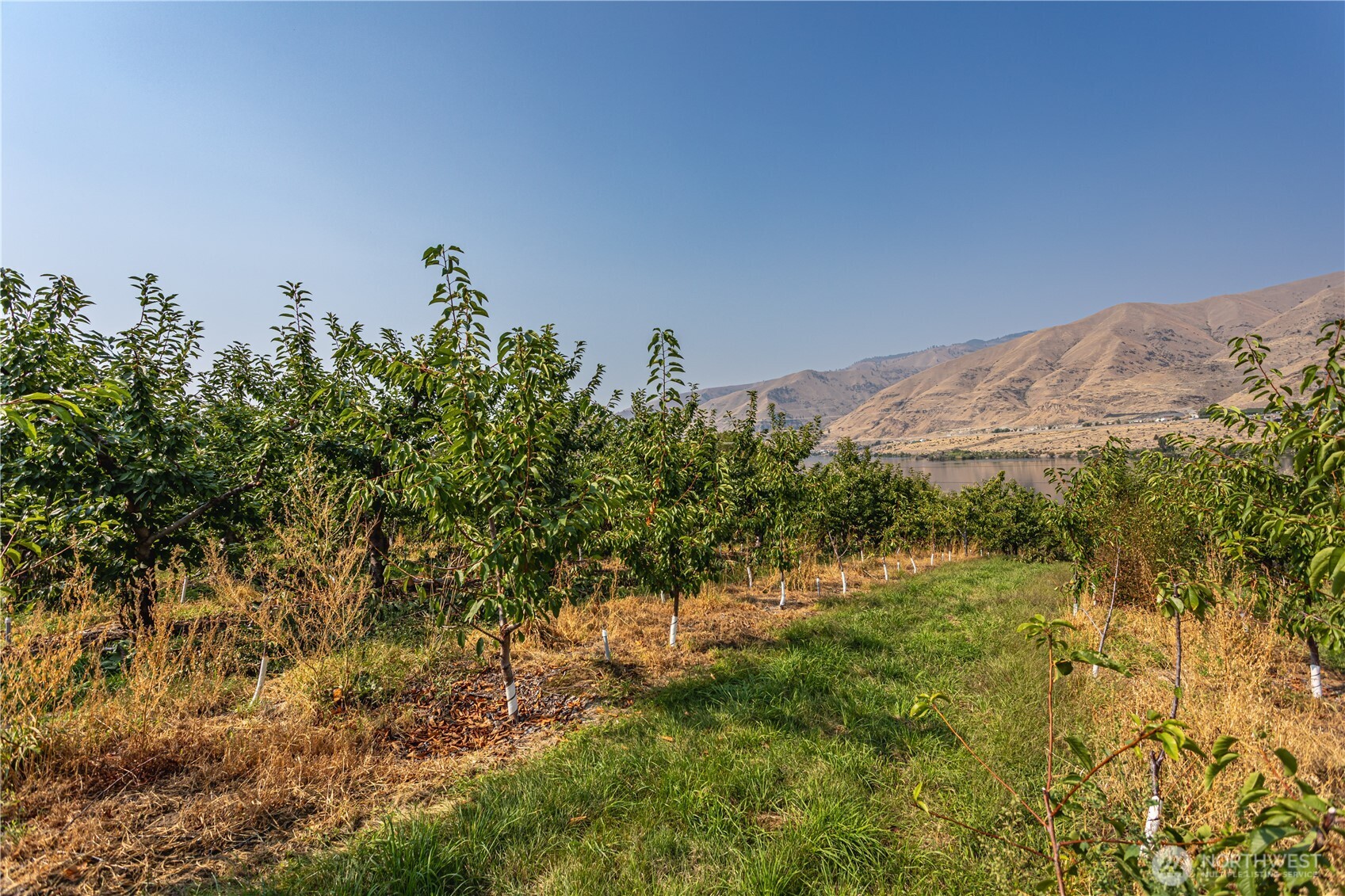 13512 Us Highway 2 East Wenatchee WA 98802