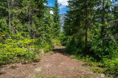 27988 Napeequa Drive Leavenworth WA 98826
