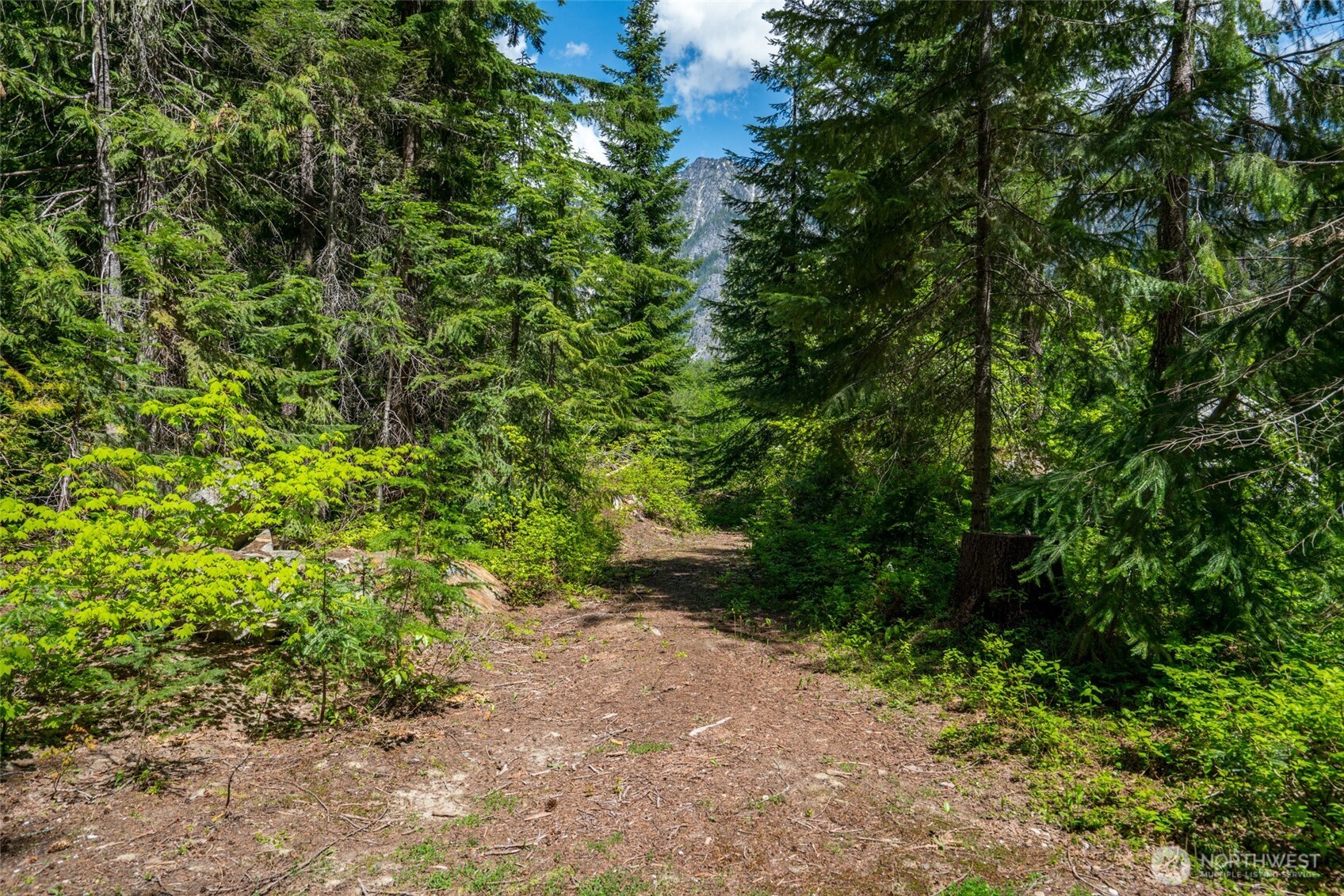 27988 Napeequa Drive Leavenworth WA 98826
