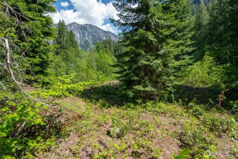 27988 Napeequa Drive Leavenworth WA 98826