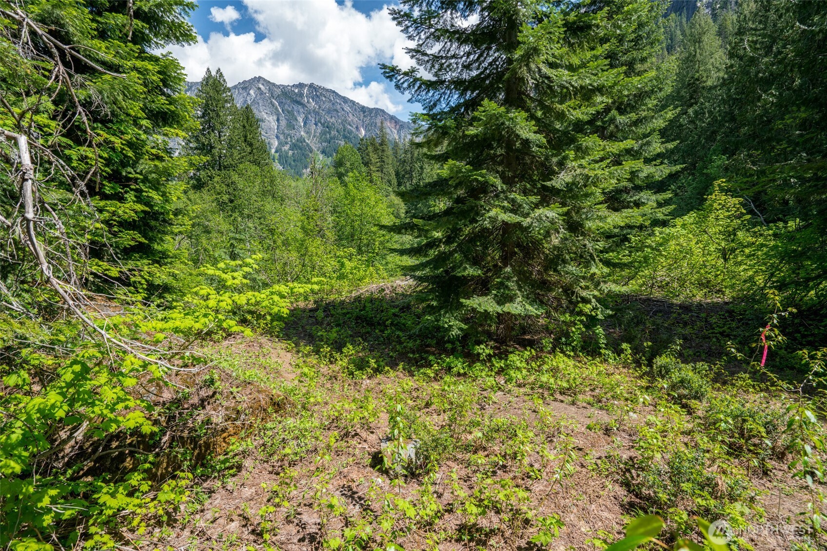 27988 Napeequa Drive Leavenworth WA 98826