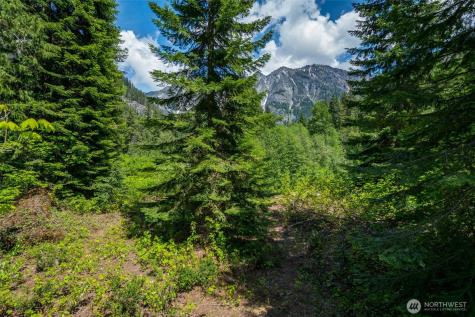 27988 Napeequa Drive Leavenworth WA 98826