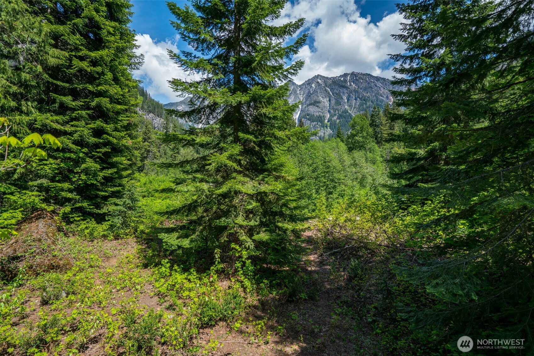 27988 Napeequa Drive Leavenworth WA 98826