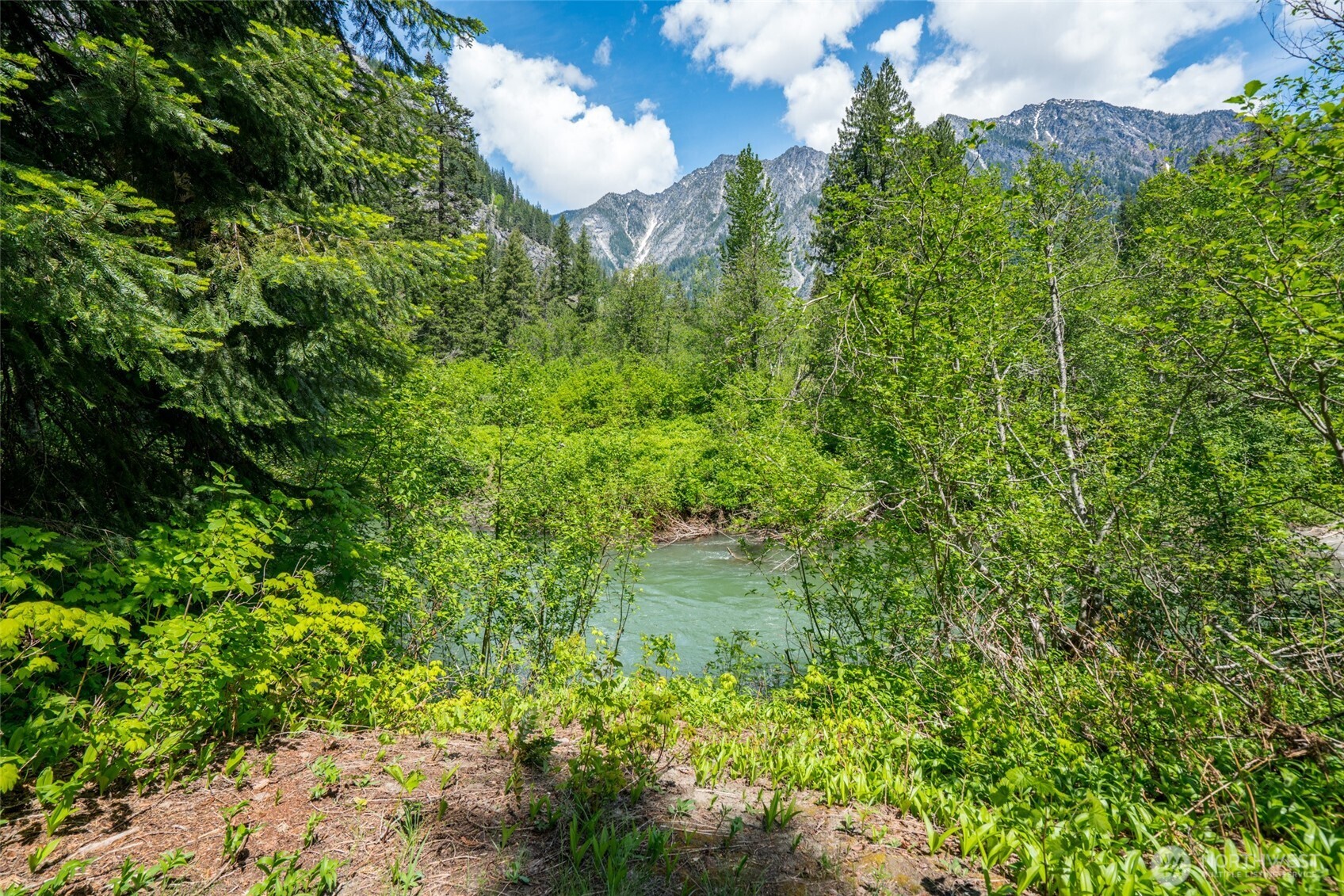 27988 Napeequa Drive Leavenworth WA 98826