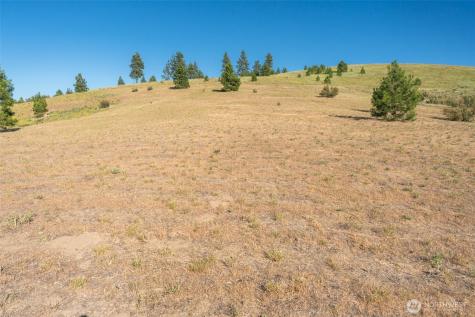 250 Hawks Ridge Road Chelan WA 98816