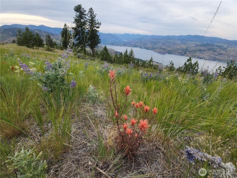250 Hawks Ridge Road Chelan WA 98816