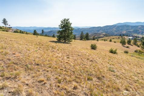 250 Hawks Ridge Road Chelan WA 98816