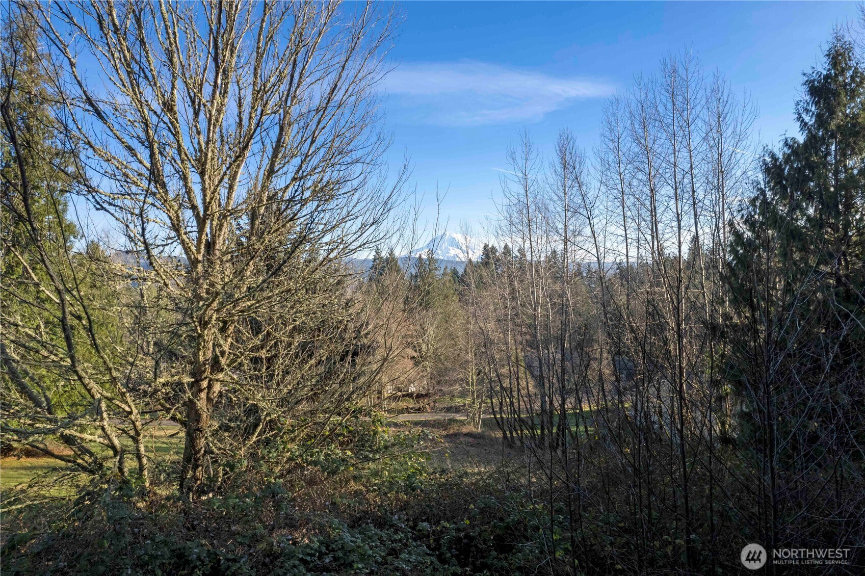 16018 229th Street E Graham WA 98338