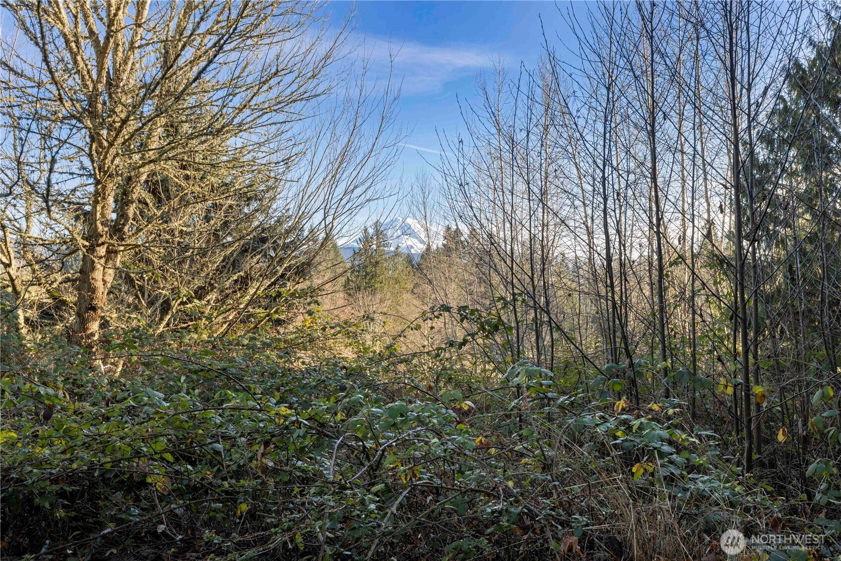 16018 229th Street E Graham WA 98338