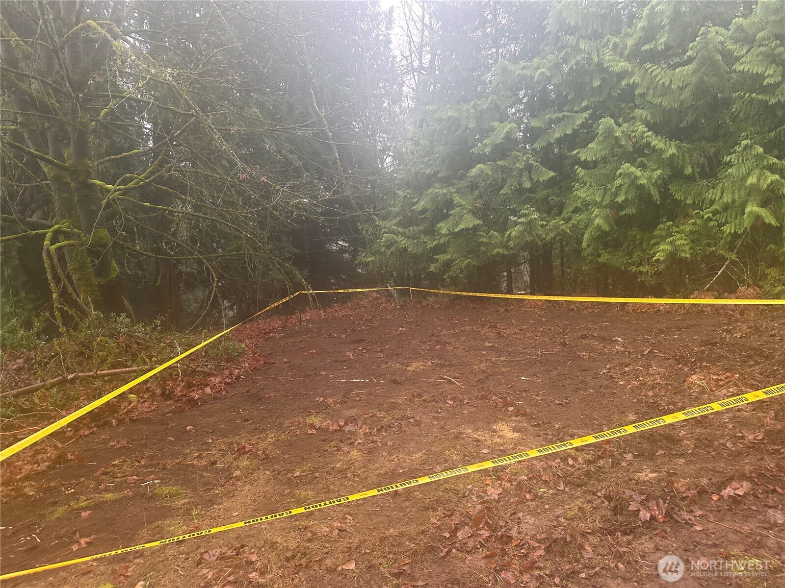 16018 229th Street E Graham WA 98338