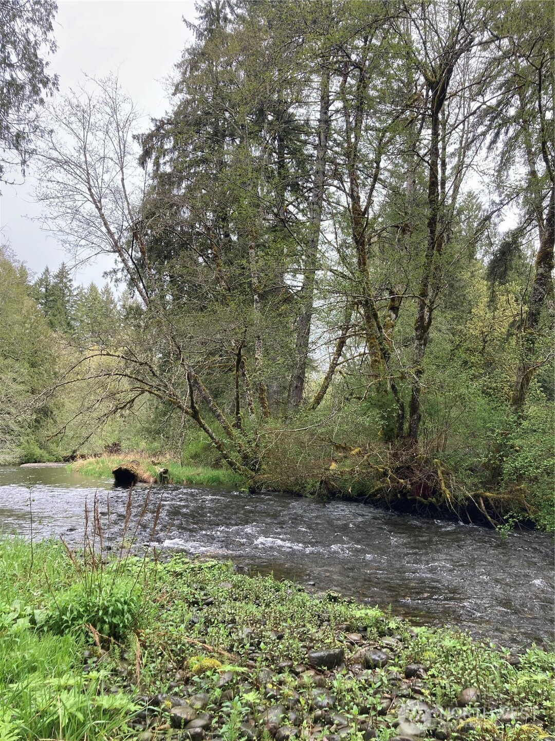 0 East Of Bingham Creek Elma WA 98541