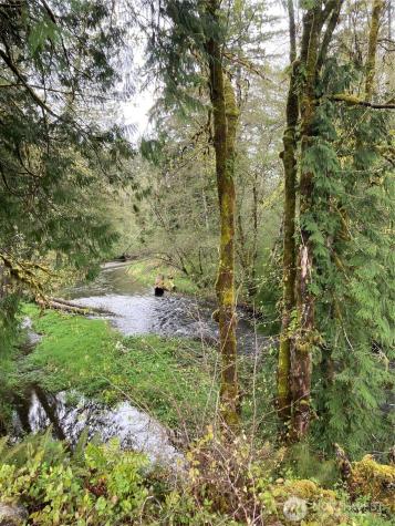 0 East Of Bingham Creek Elma WA 98541