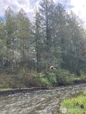 0 East Of Bingham Creek Elma WA 98541