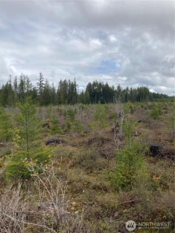 0 East Of Bingham Creek Elma WA 98541