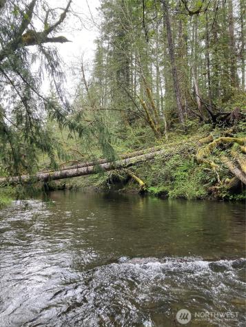 0 East Of Bingham Creek Elma WA 98541