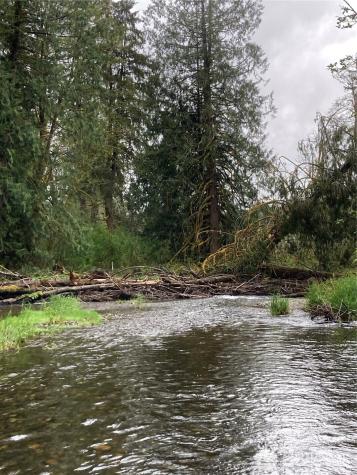 0 East Of Bingham Creek Elma WA 98541