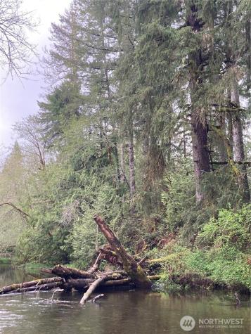 0 East Of Bingham Creek Elma WA 98541
